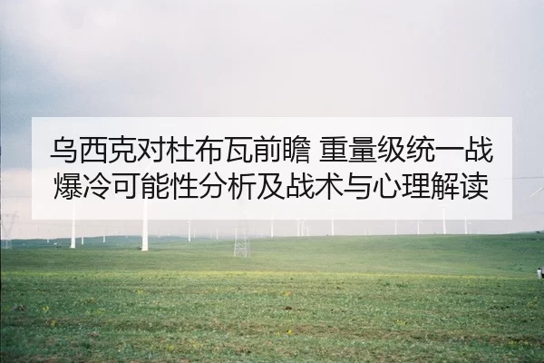 乌西克对杜布瓦前瞻 重量级统一战爆冷可能性分析及战术与心理解读